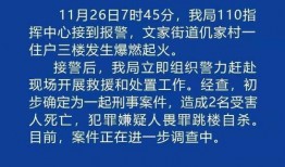 寿光最新爆料事件新闻,事件真相逐步浮出水面